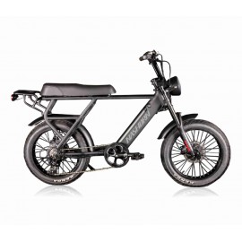 26 inch electric cargo bicycle--G2086A