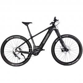 29 /27.5 inch electric mountain bike--G2616AC1