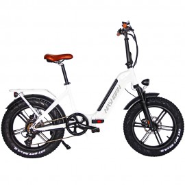 20 inch electric fat bike--G2617AZF